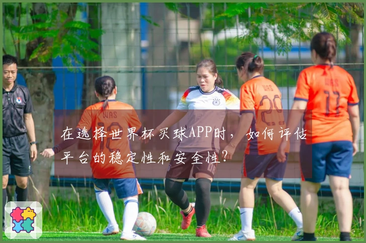 在选择世界杯买球APP时，如何评估平台的稳定性和安全性？