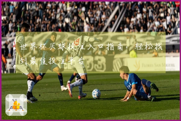 世界杯买球投注入口指南，轻松找到最佳投注平台