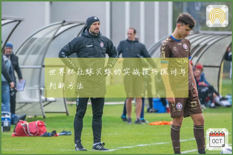 世界杯让球买球的实战技巧探讨与判断方法