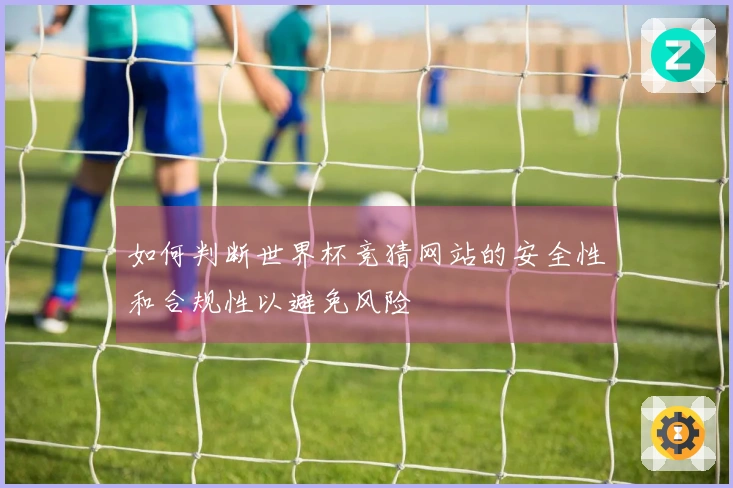 如何判断世界杯竞猜网站的安全性和合规性以避免风险