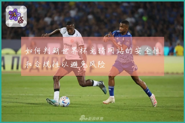 如何判断世界杯竞猜网站的安全性和合规性以避免风险